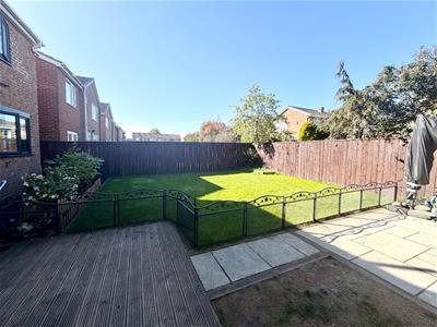 Picture 20